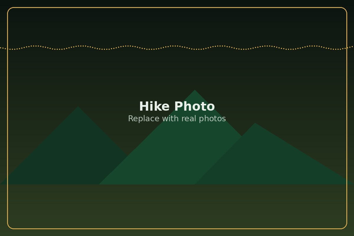 Scouts hiking on a trail